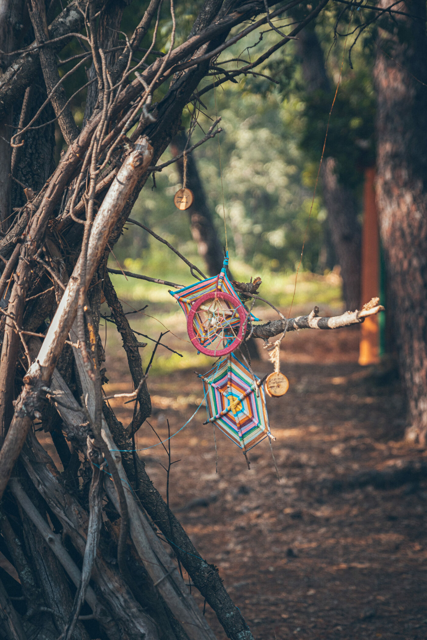 Mandala tejida en el bosque